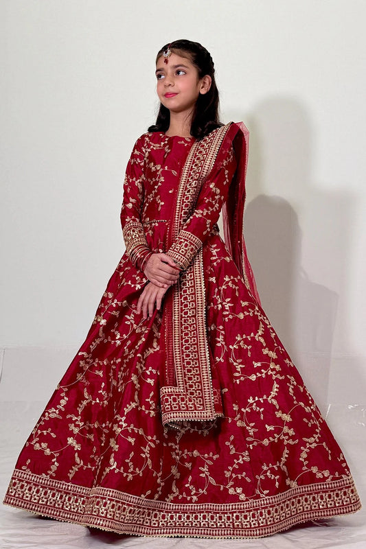 Parian Saris & Lehenga